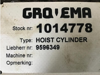 Hydraulic cylinder LIEBHERR