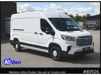Panel van