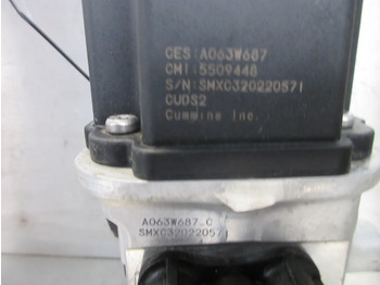 Fuel system for Truck DAF 2290991 AD BLUE POMP DAF XG 480 NIEUWE MODEL 2023: picture 4