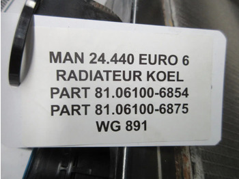 Radiator for Truck MAN 81.06100-6854//81.06100-6875 RADITEUR MAN COMPLEET EURO 6: picture 4