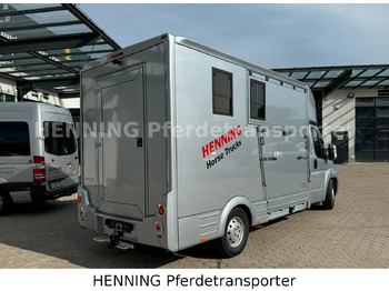 Leasing of  Peugeot Boxer 3 - Sitzer Peugeot Boxer 3 - Sitzer: picture 2