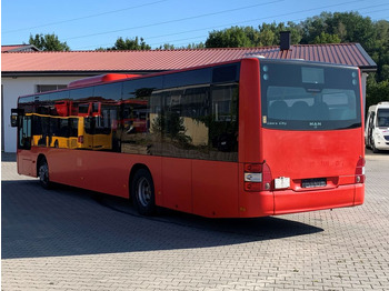 City bus MAN A 20 / Lions City Ü  Euro 5 / EEV / KLIMA: picture 4