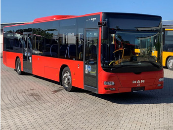 City bus MAN Lion's City A20