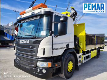 Crane truck SCANIA P 250 GRUA CAJA FIJA: picture 2