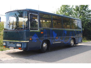 Bus MAN