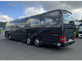 Coach MAN R09 Lions Couch C: picture 4