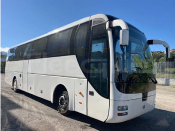 Coach MAN Lion's Coach