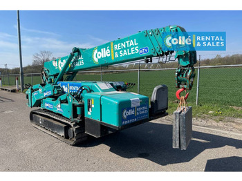 Mini crane