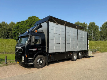 Livestock truck VOLVO FM 300