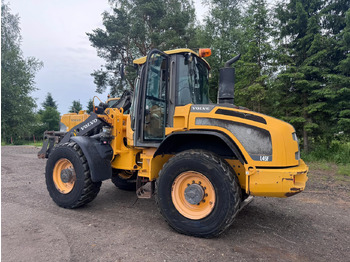 Wheel loader Volvo L45F-TP/S: picture 2