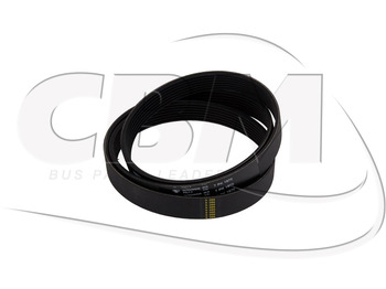 Belt NEOPLAN