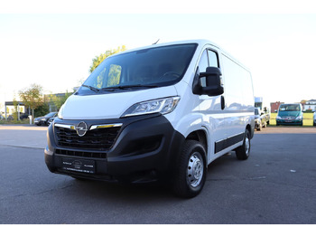 Leasing of Opel Movano Opel Movano: picture 1