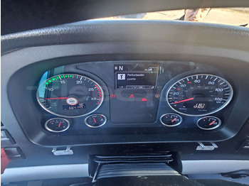 Leasing of  Man Lion's Coach Man Lion's Coach: picture 3 Leasing of  Man Lion's Coach Man Lion's Coach: picture 3