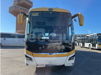 Leasing of  Man Lion's Coach Man Lion's Coach: picture 2 Leasing of  Man Lion's Coach Man Lion's Coach: picture 2