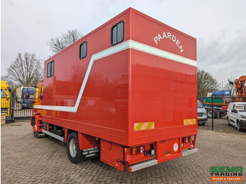 Horse truck Iveco Tector ML120E24D 4x2 Euro3 DubbelCabine - Paardenwagen 3-Paards - Kleedruimte - Hydraulische klep- TOP!: picture 4