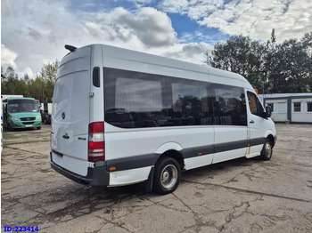 Coach MERCEDES-BENZ Sprinter 519 VIP - 17 Seater Euro5: picture 5