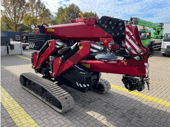 Mini crane Hoeflon C 30 E SOLD: picture 5