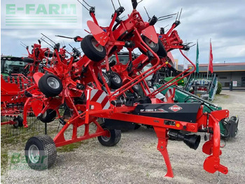 Tedder/ Rake KUHN
