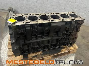 Engine and parts DAF