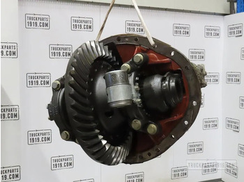Differential gear DAF