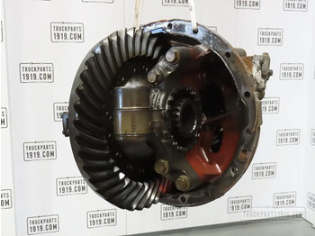 Differential gear DAF