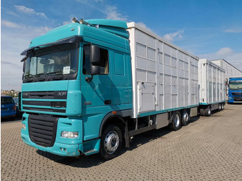 Livestock truck DAF XF 105 460