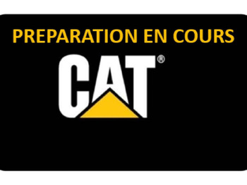 Crawler excavator CATERPILLAR 313