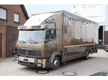 Horse truck MERCEDES-BENZ