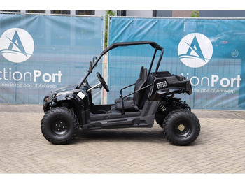 New Golf cart Wextrem UTV-ATV 200 Pro: picture 2 New Golf cart Wextrem UTV-ATV 200 Pro: picture 2