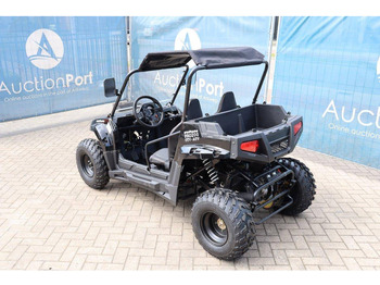 New Golf cart Wextrem UTV-ATV 200 Pro: picture 3 New Golf cart Wextrem UTV-ATV 200 Pro: picture 3