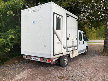 Van FIAT DUCATO: picture 3
