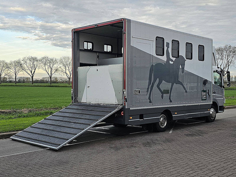 Mercedes-Benz ATEGO 818 - Truck: picture 3 Mercedes-Benz ATEGO 818 - Truck: picture 3