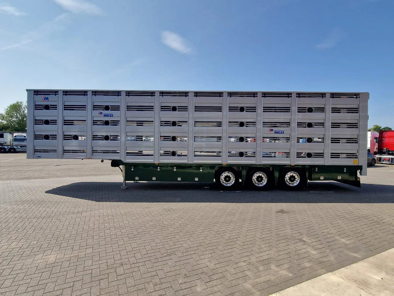 Onbekend Molas 5 deck Livestock trailer - Water & Ventilation - Loadlift - NEW! - - Livestock semi-trailer: picture 5 Onbekend Molas 5 deck Livestock trailer - Water & Ventilation - Loadlift - NEW! - - Livestock semi-trailer: picture 5