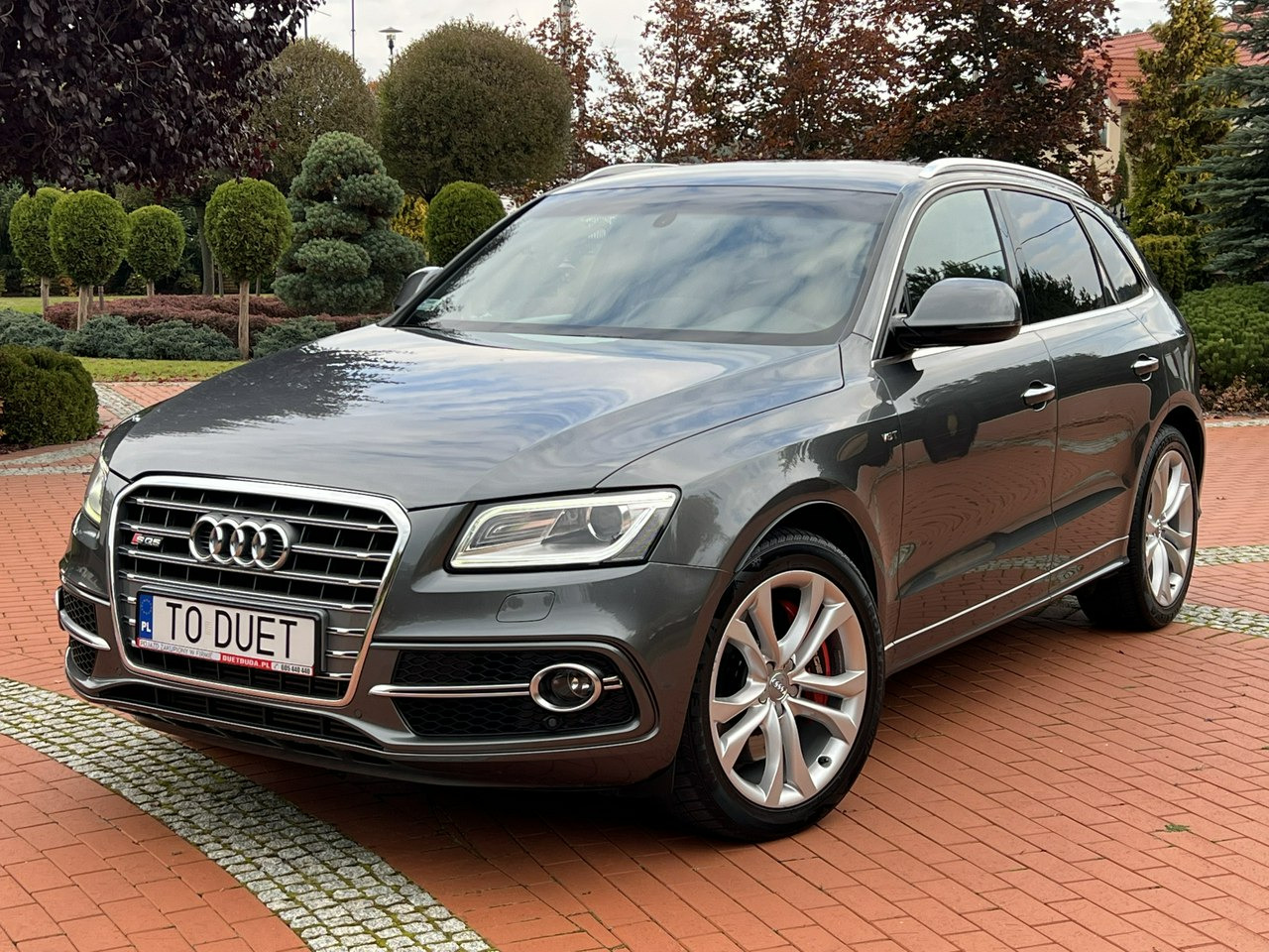 Audi SQ5 - SUV: picture 2 Audi SQ5 - SUV: picture 2