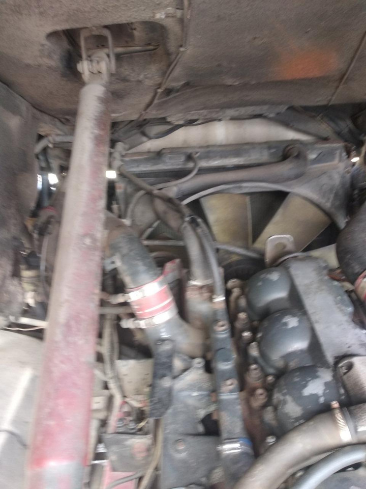 Tractor unit RENAULT Magnum 390: picture 25