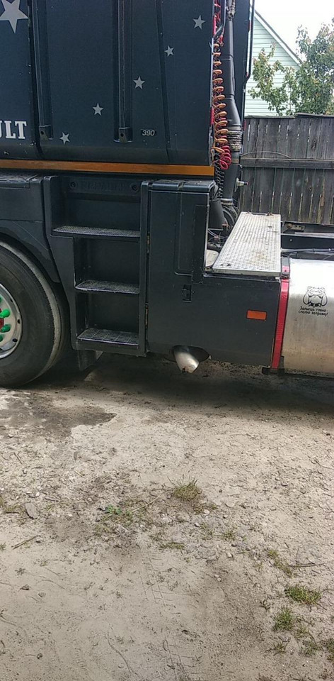 Tractor unit RENAULT Magnum 390: picture 34