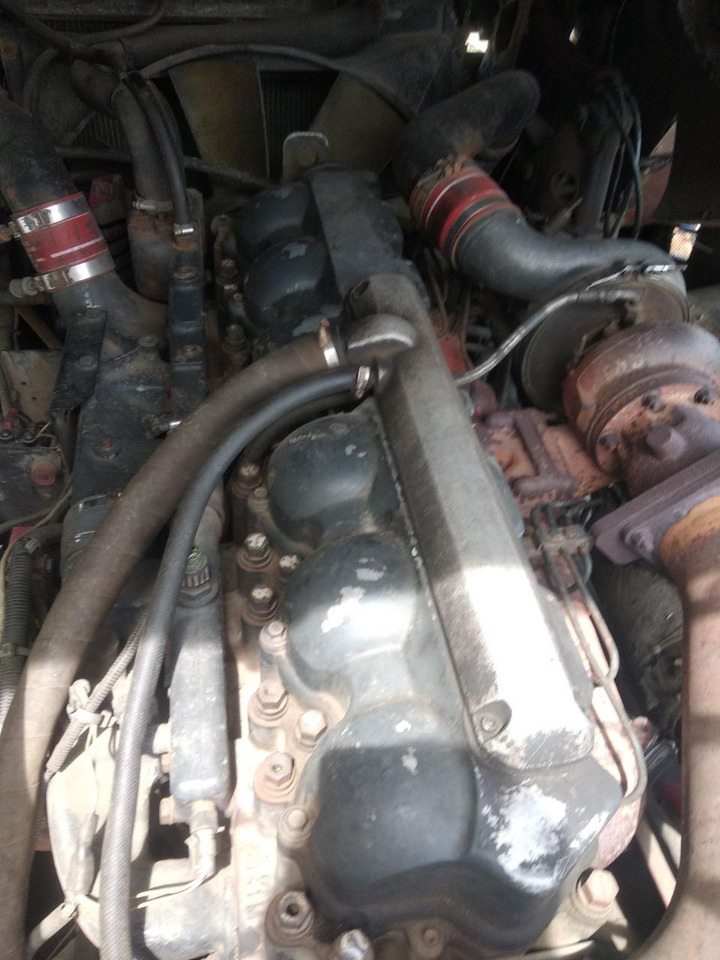 Tractor unit RENAULT Magnum 390: picture 19