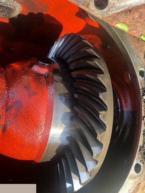 Merlo - Koło Talerzowe - Differential gear for Agricultural machinery: picture 4 Merlo - Koło Talerzowe - Differential gear for Agricultural machinery: picture 4
