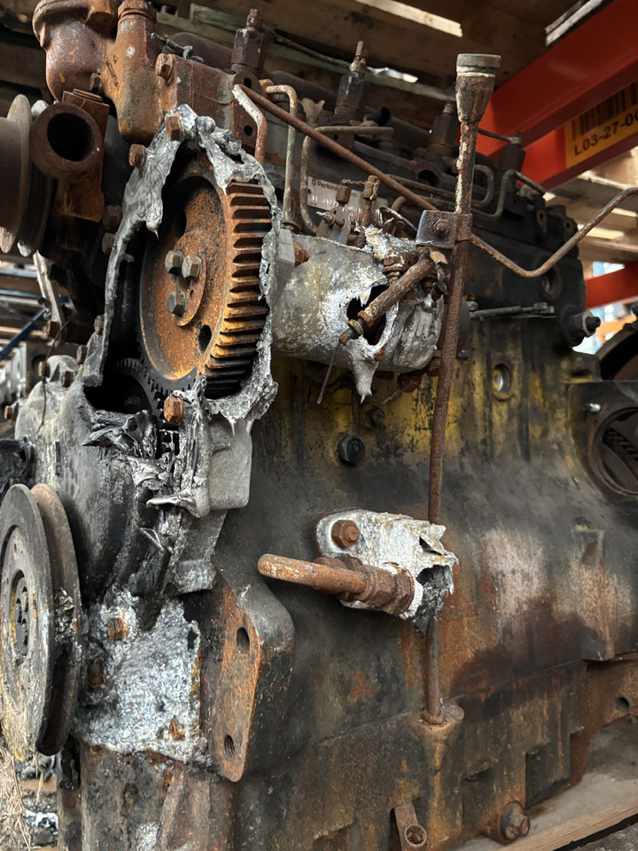 Perkins LF31227 Silnik Blok Tryb Koło Pasowe Pokrywa Kolektor Koło Zamachowe CZĘŚCI - Flywheel for Agricultural machinery: picture 5 Perkins LF31227 Silnik Blok Tryb Koło Pasowe Pokrywa Kolektor Koło Zamachowe CZĘŚCI - Flywheel for Agricultural machinery: picture 5