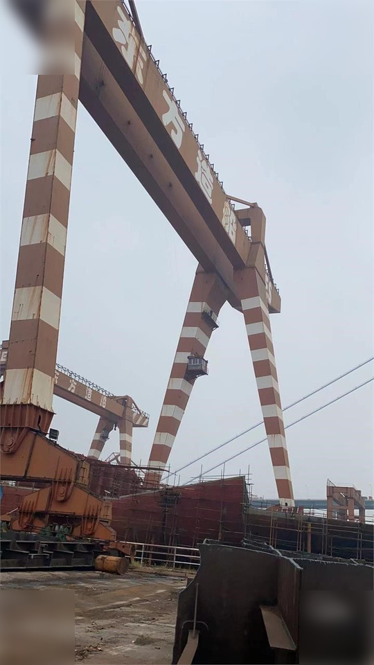 Gantry crane 2011 JEHI MUS900: picture 15