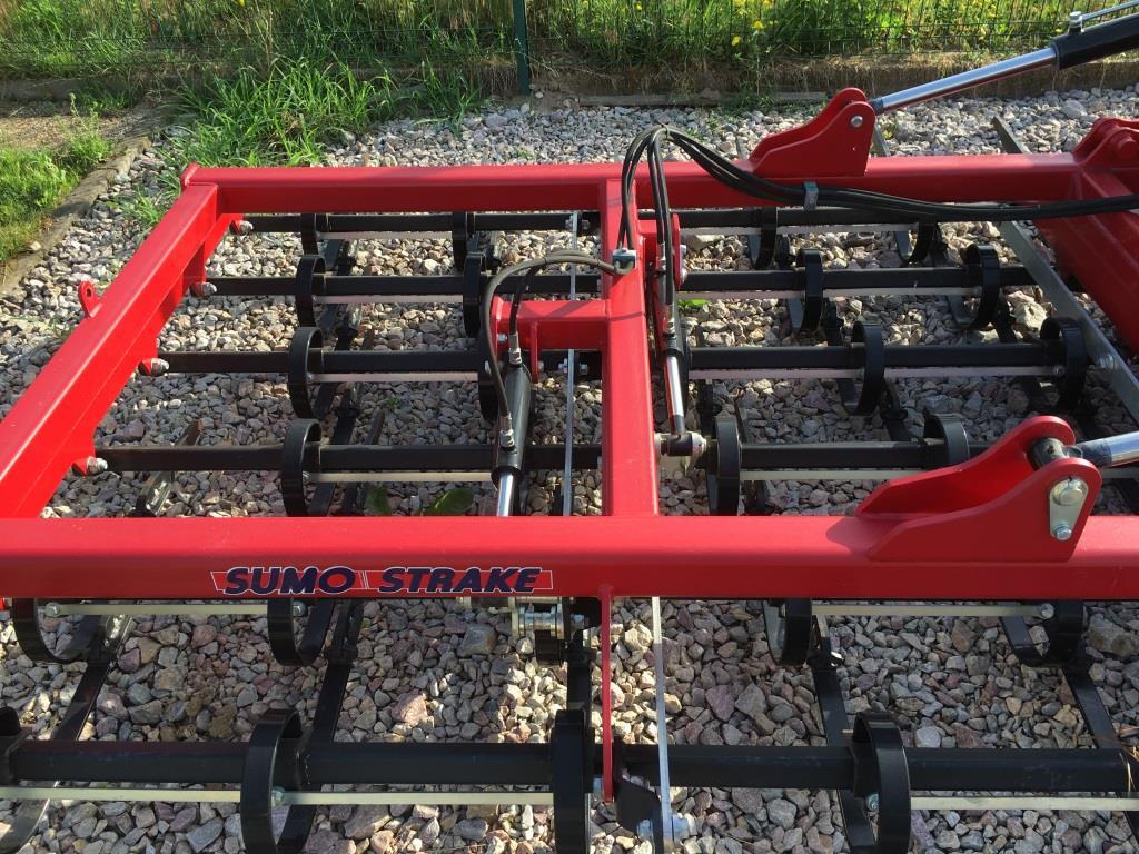Sumo - Harrow: picture 4 Sumo - Harrow: picture 4