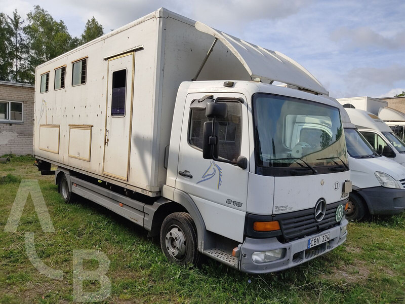 Mercedes-Benz 815 - Horse truck: picture 1 Mercedes-Benz 815 - Horse truck: picture 1