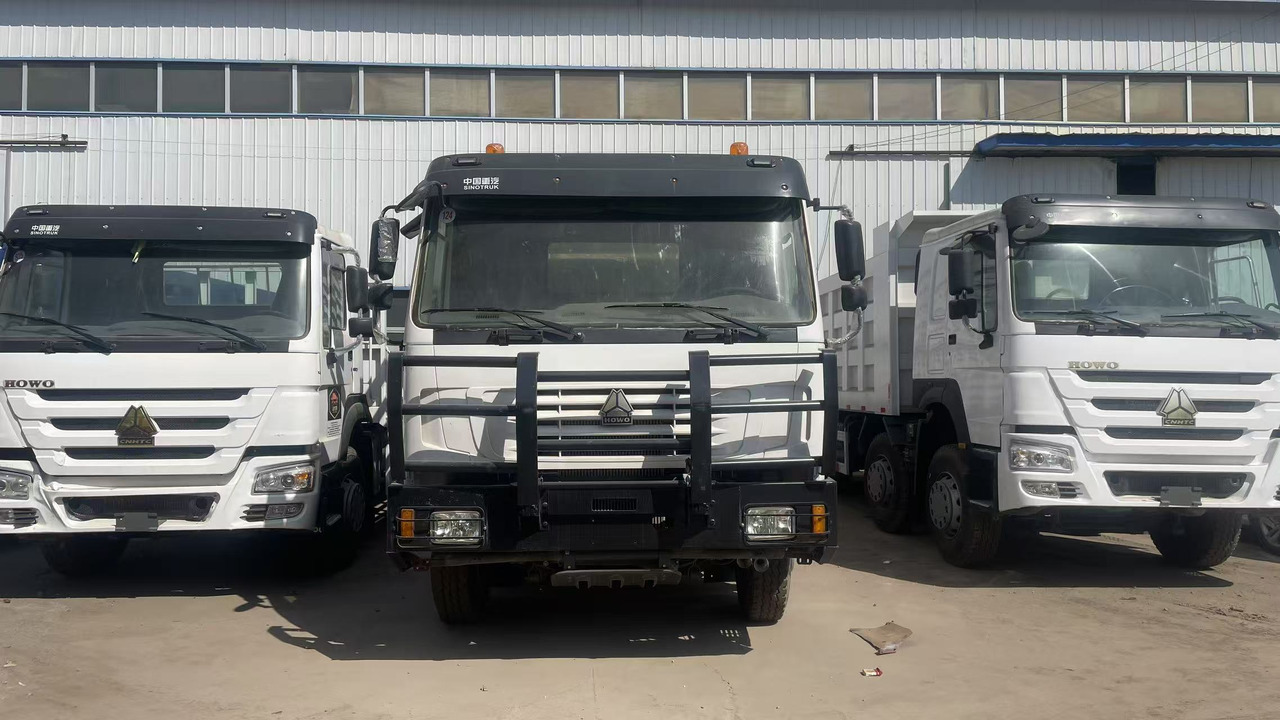 Livestock truck SINOTRUK HOWO 8*4 DUMP TRUCK 371 375 380 420 HP: picture 1