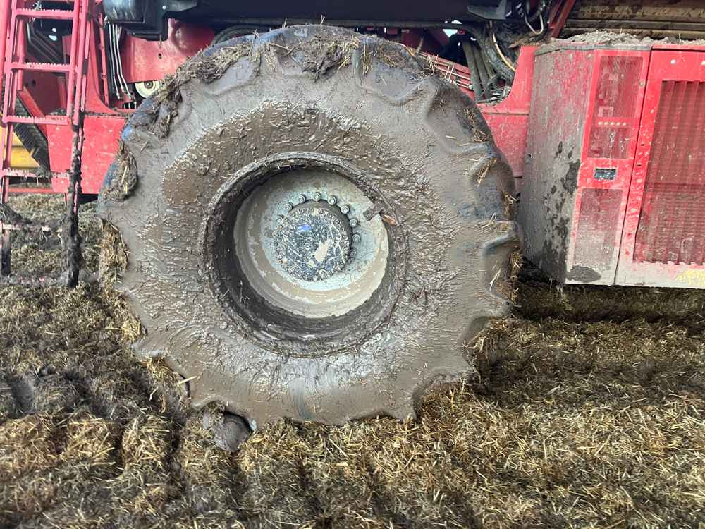 Grimme VARITRON 270 PLATINUM TT - Harvester: picture 5 Grimme VARITRON 270 PLATINUM TT - Harvester: picture 5