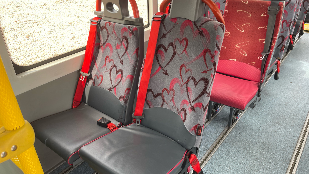 Minibus, Passenger van MERCEDES-BENZ SPRINTER 513 CDI: picture 14