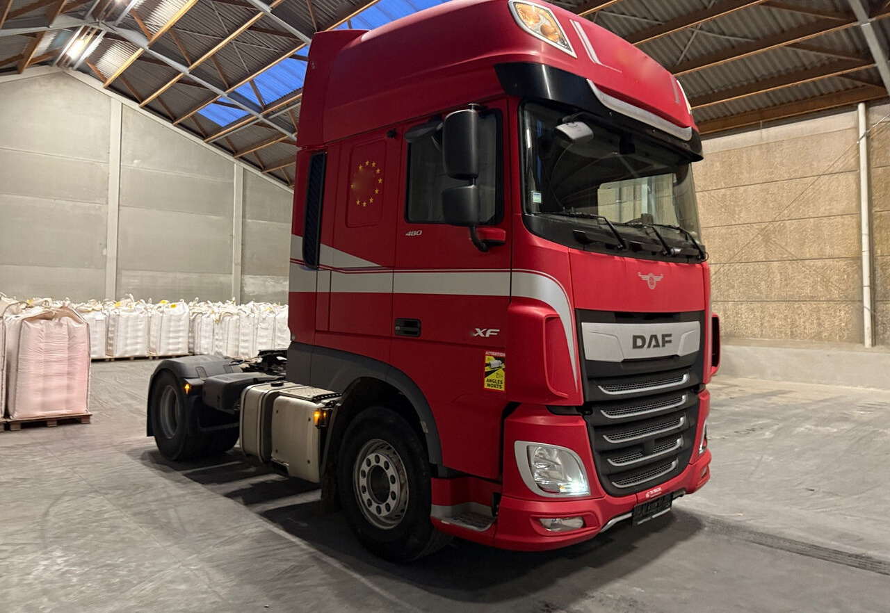 DAF DAF XF 480 SSC - Tractor unit: picture 2 DAF DAF XF 480 SSC - Tractor unit: picture 2