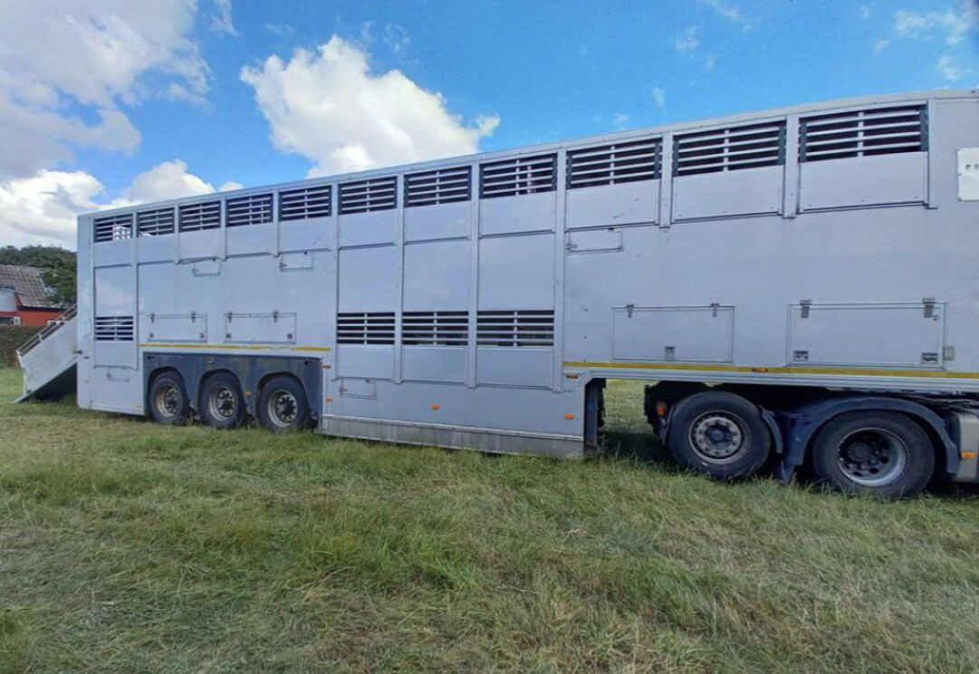 Gray and Adams Gadd3 / Works Great / Hydraulic / 2 Levels - Livestock semi-trailer: picture 3 Gray and Adams Gadd3 / Works Great / Hydraulic / 2 Levels - Livestock semi-trailer: picture 3