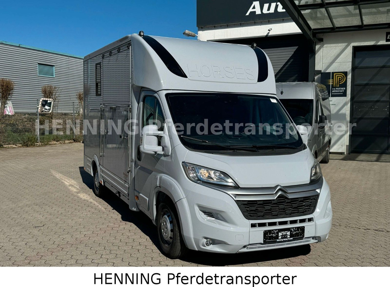 Citroën Jumper 3 - Sitzer *AUFBAU NEU* - Horse truck: picture 2 Citroën Jumper 3 - Sitzer *AUFBAU NEU* - Horse truck: picture 2