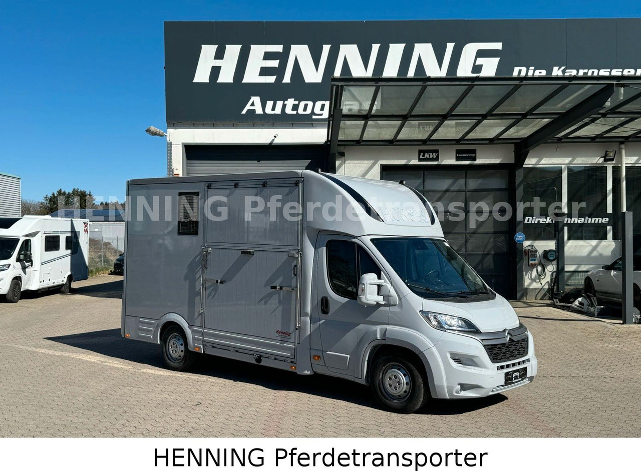Citroën Jumper 3 - Sitzer *AUFBAU NEU* - Horse truck: picture 1 Citroën Jumper 3 - Sitzer *AUFBAU NEU* - Horse truck: picture 1