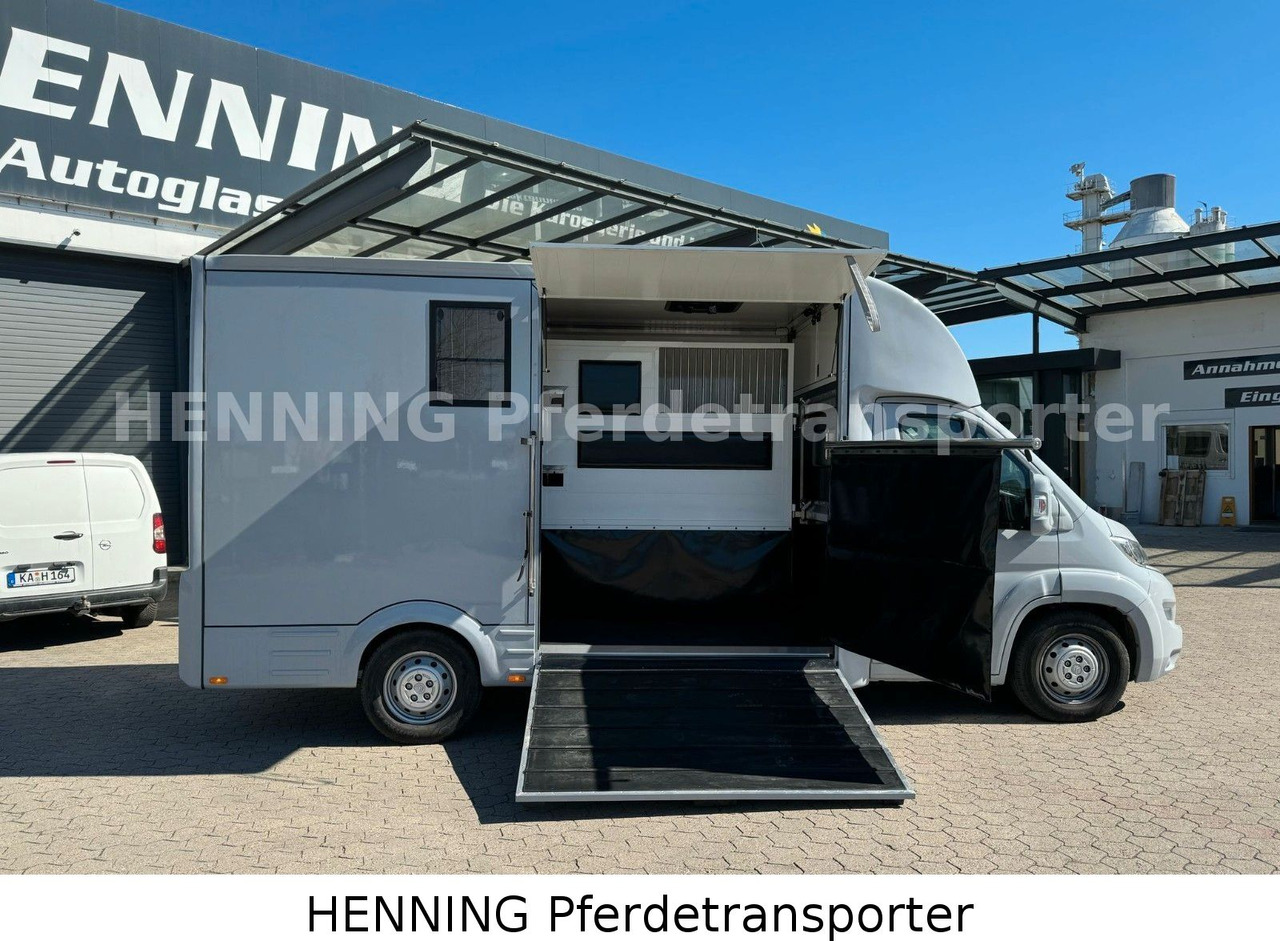 Citroën Jumper 3 - Sitzer *AUFBAU NEU* - Horse truck: picture 5 Citroën Jumper 3 - Sitzer *AUFBAU NEU* - Horse truck: picture 5